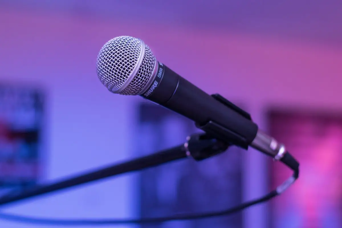 Image of a dynamic microphone in a microphone stand. Source: pixabay