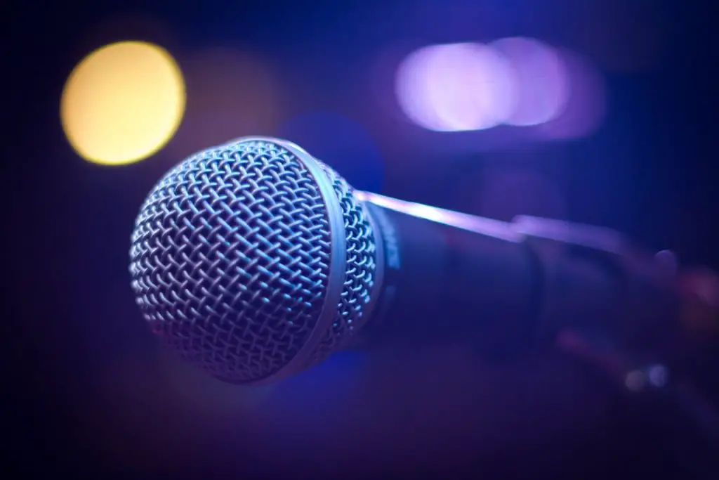 Image of a gray and black dynamic microphone on a stand. Source: pixabay