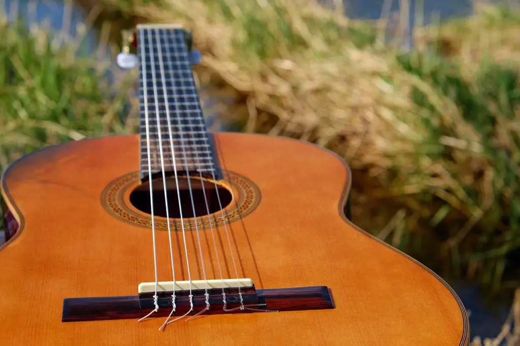 Image of a guitar with complete string place near the grass. Source: pixabay