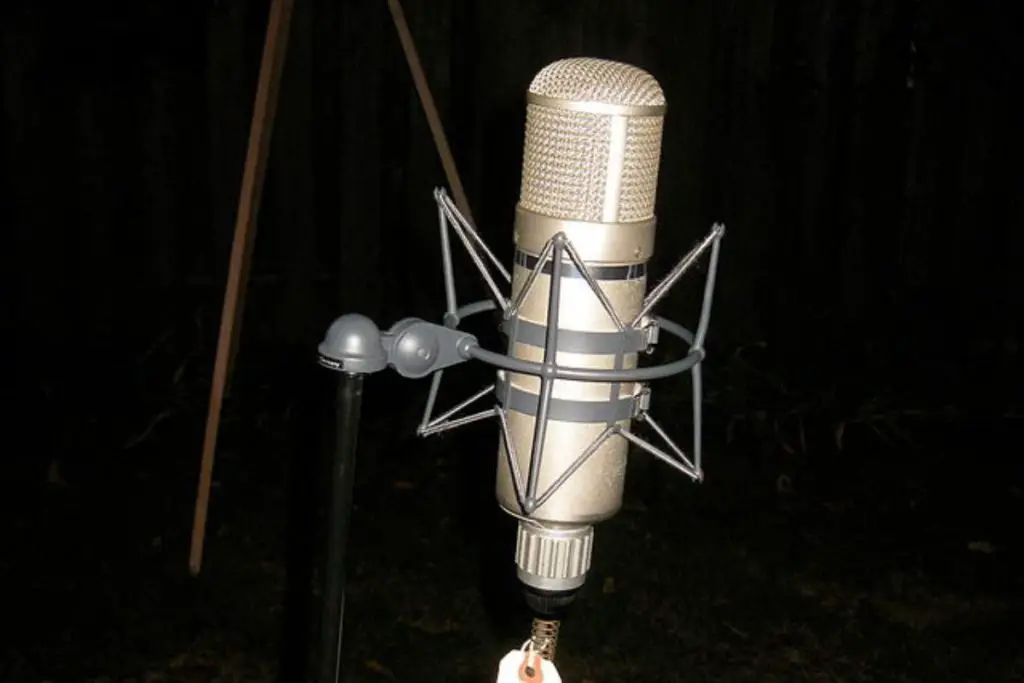 Image of u47 microphone on a mic stand with black backdrop.