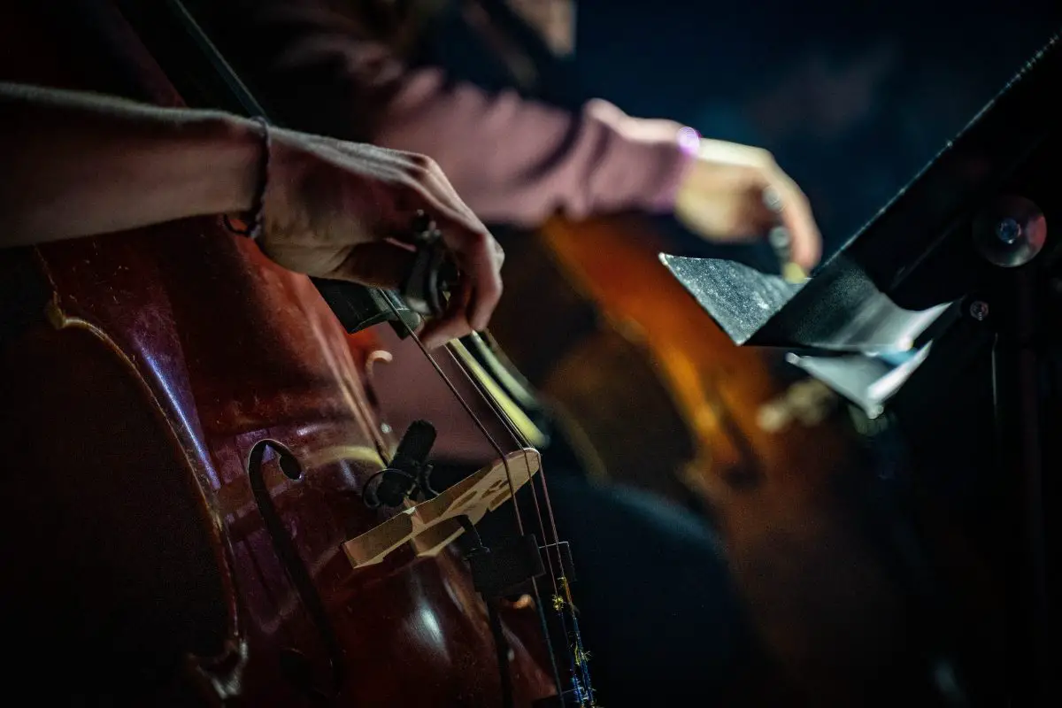 Closeup of a musician playing the double bass. Source: unsplash