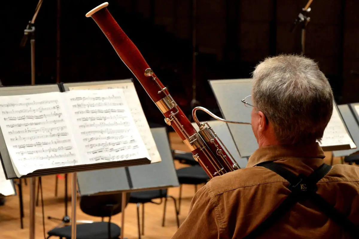 Image of a bassoon player in an orchestra. Source: pixabay