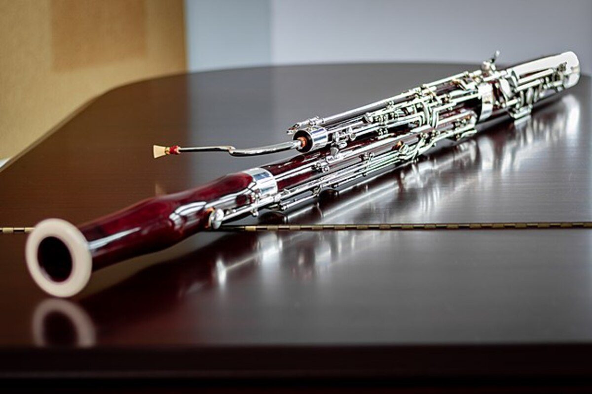 What is a Bassoon? The Orchestra's Deep Voice