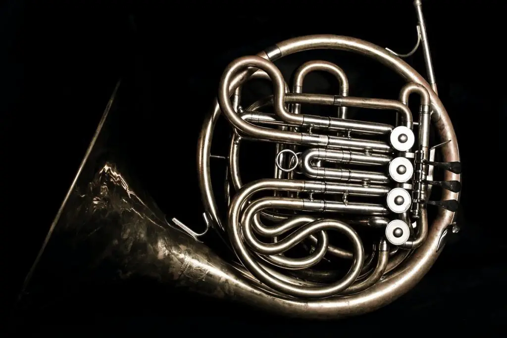 Image of a french horn. Source: unsplash