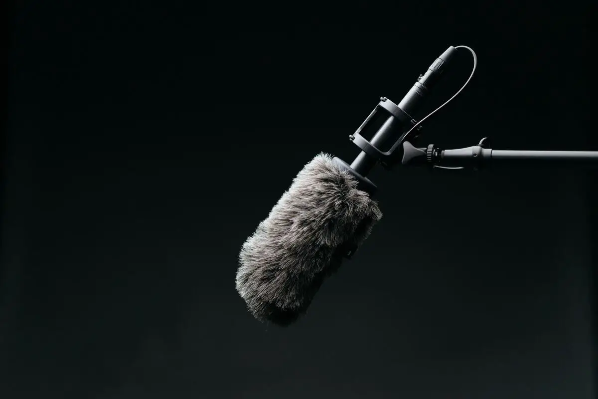 Image of a microphone with a windshield. Source: unsplash