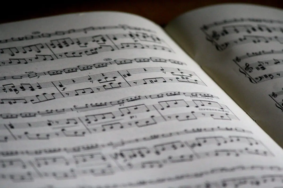 Image of sheet music with single bar lines. Source: pexels