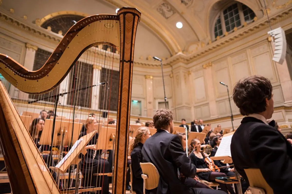 A harp in an orchestra. Source: unsplash