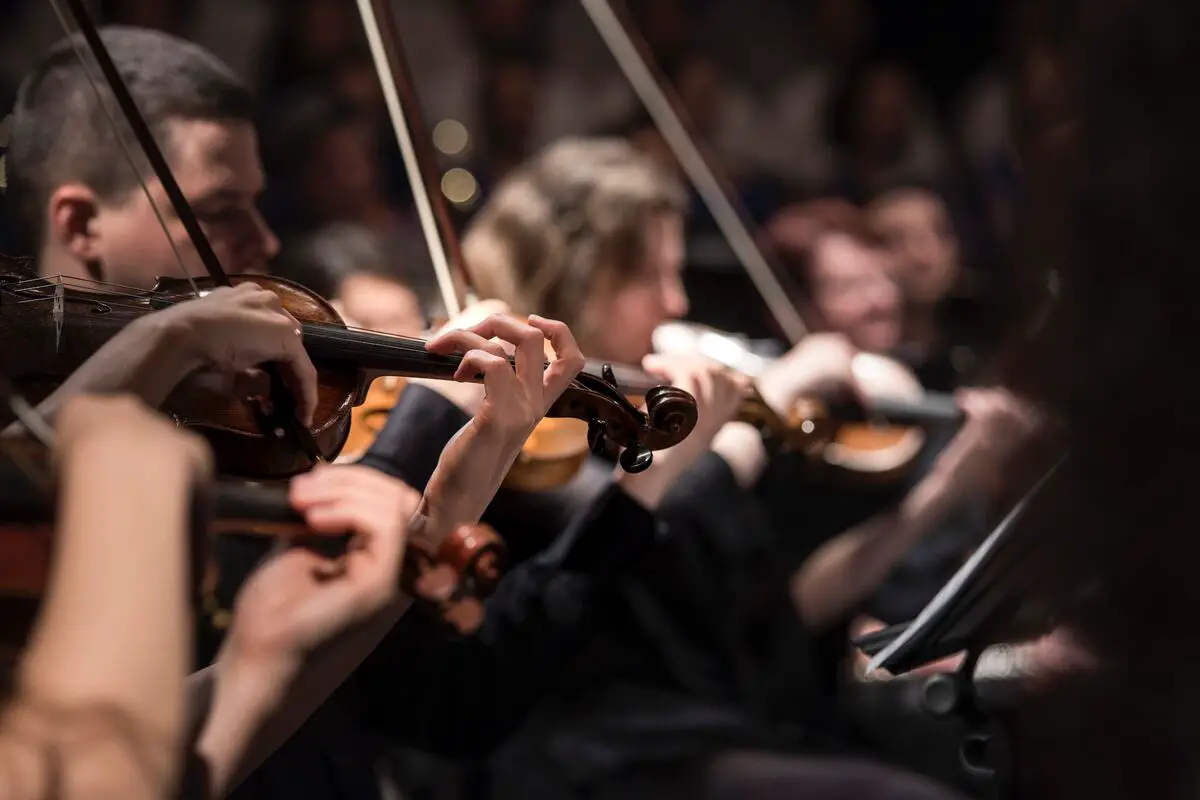 Image of a string quartet in an orchestra. Source: unsplash